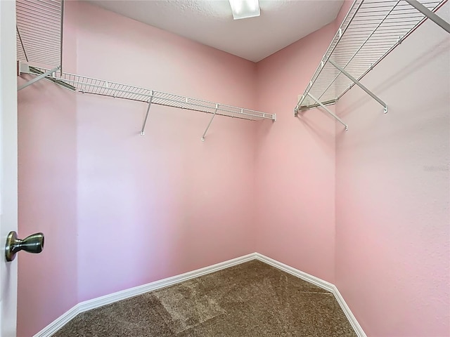 1157 Valley Creek Run, Winter Park, FL 32792 - walk in closet featuring carpet flooring