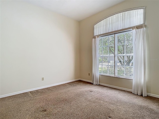 1157 Valley Creek Run, Winter Park, FL 32792 - carpeted empty room with baseboards