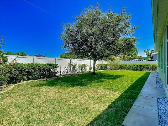 1157 Valley Creek Run, Winter Park, FL 32792 - view of yard with a fenced backyard