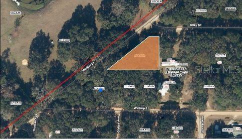 Riley St, Interlachen, FL 32148 - photo 2