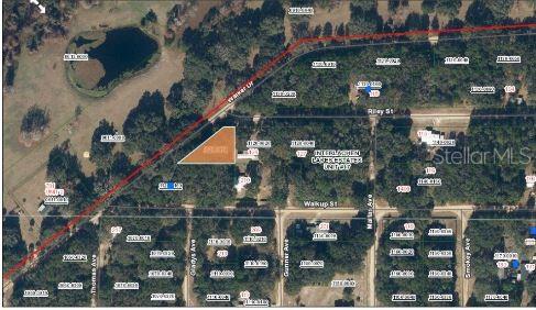 Riley St, Interlachen, FL 32148 - photo 5
