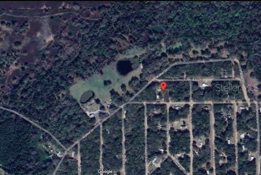 Riley St, Interlachen, FL 32148 - photo 6