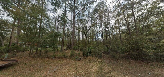 Riley St, Interlachen, FL 32148 - photo 7