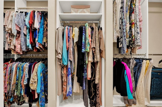 view of spacious closet