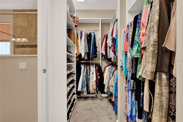 walk in closet featuring carpet flooring