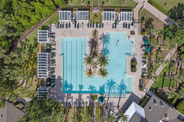 bird's eye view