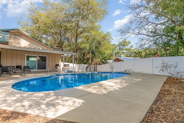 view of pool featuring a fenced backyard, a patio, and a fenced in pool