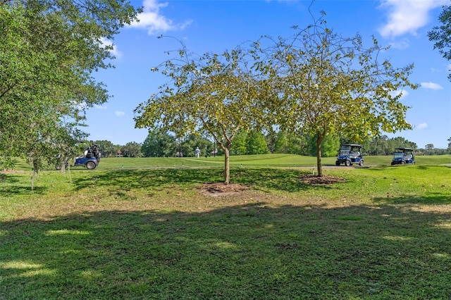 9624 Bryanston Dr, Orlando, FL 32827 - photo 40