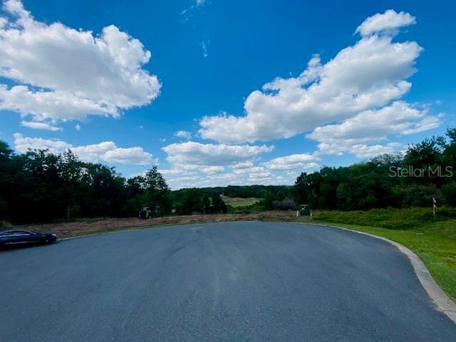 Darlington Ave, Lady Lake, FL 32159 - photo 2