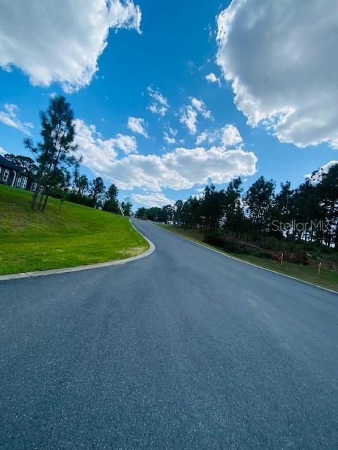 Darlington Ave, Lady Lake, FL 32159 - photo 4