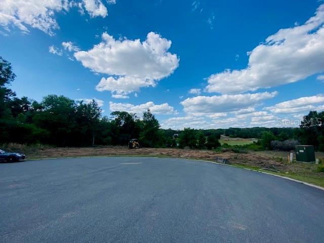 Darlington Ave, Lady Lake, FL 32159 - photo 5