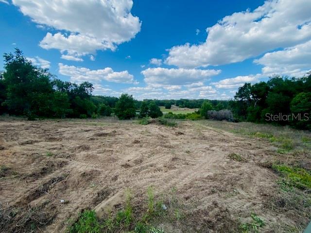 Darlington Ave, Lady Lake, FL 32159 - photo 6