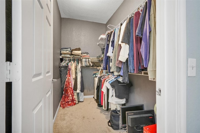 spacious closet featuring carpet