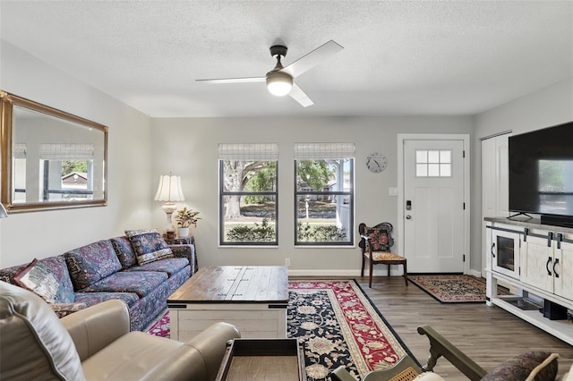 living room with wood finished floors, a textured ceiling, and a ceiling fan