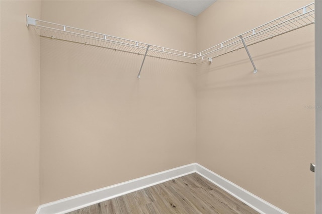 spacious closet with light wood-style flooring