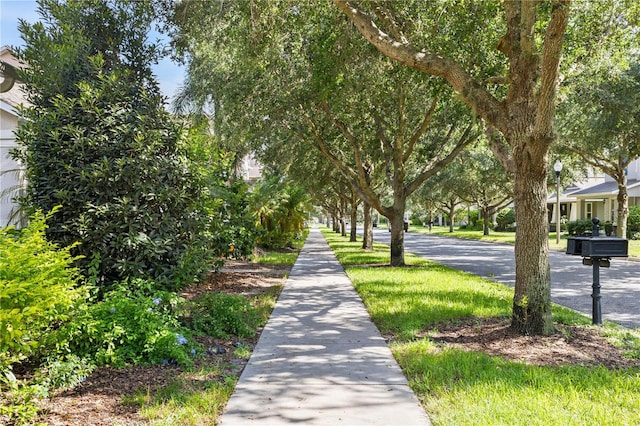 14841 Porter Rd, Winter Garden, FL 34787 - photo 4