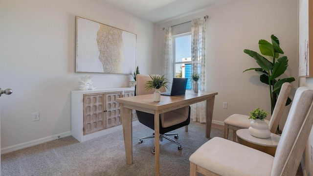 office space with carpet and baseboards