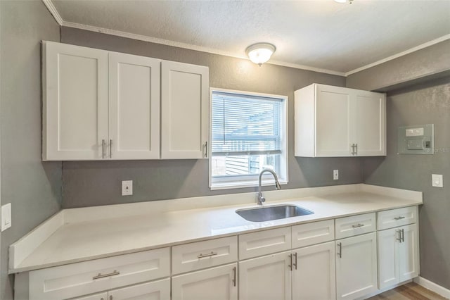 1234 Parker Ave, Deltona, FL 32725 - kitchen featuring light countertops, white cabinets, ornamental molding, a sink, and a textured ceiling