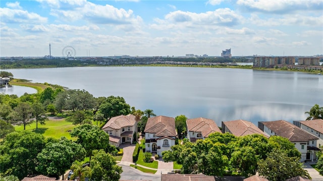 8125 Via Rosa, Orlando, FL 32836 - photo 45