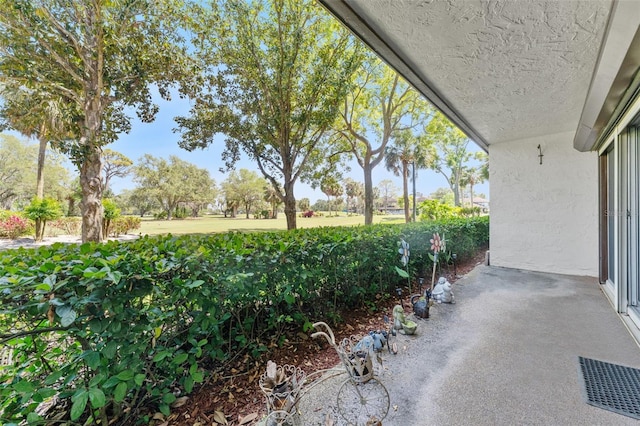 3035 Countryside Blvd Unit 15B, Clearwater, FL 33761 - view of patio featuring visible vents
