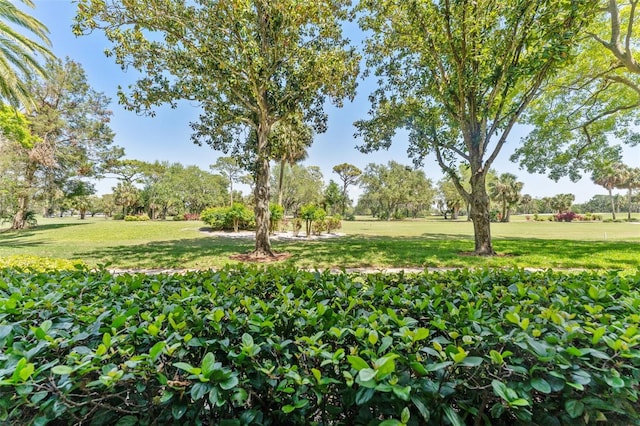 3035 Countryside Blvd Unit 15B, Clearwater, FL 33761 - surrounding community featuring a yard