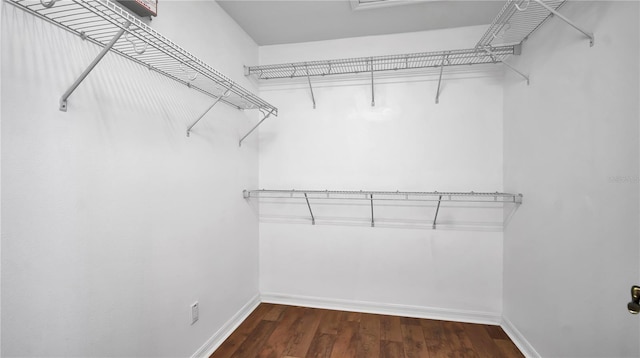 2167 Velvet Leaf Dr, Ocoee, FL 34761 - spacious closet with wood finished floors