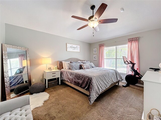 2850 Tremont Dr, Eustis, FL 32726 - photo 29