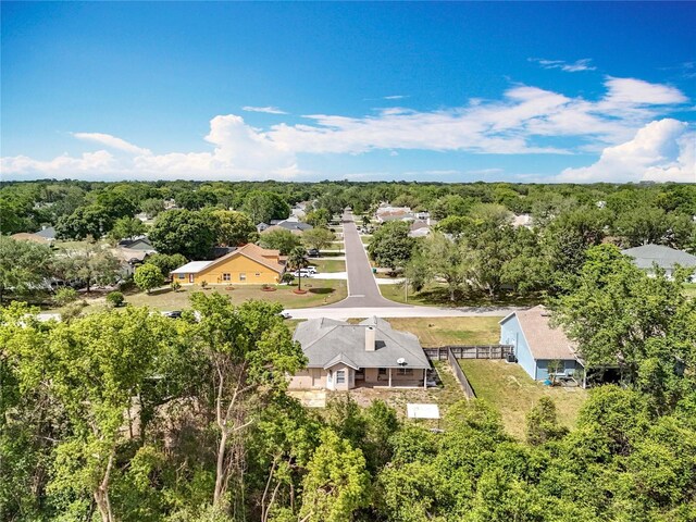 2850 Tremont Dr, Eustis, FL 32726 - photo 46