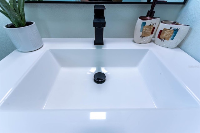 interior details with a sink
