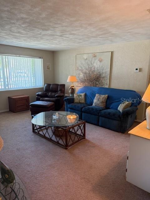 116 E Palm Way, Edgewater, FL 32132 - carpeted living room featuring a textured ceiling