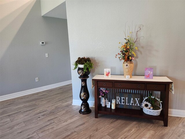 4666 Clarke St, North Port, FL 34286 - detailed view of baseboards and wood finished floors