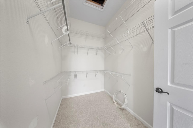 walk in closet with carpet floors