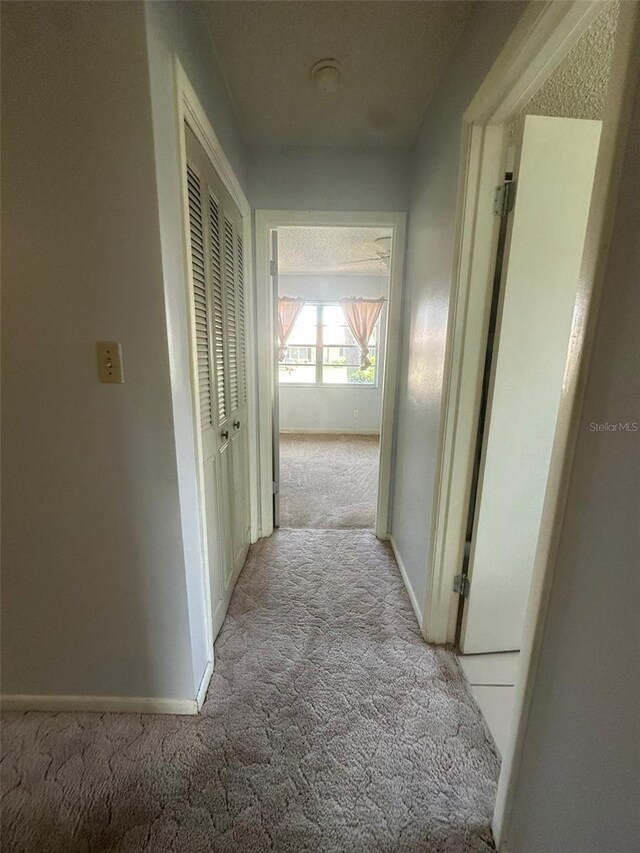 8 Jasmine St, Lake Placid, FL 33852 - photo 31