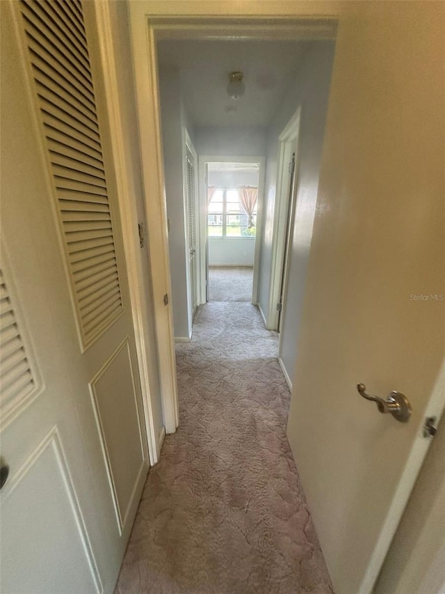 8 Jasmine St, Lake Placid, FL 33852 - photo 32