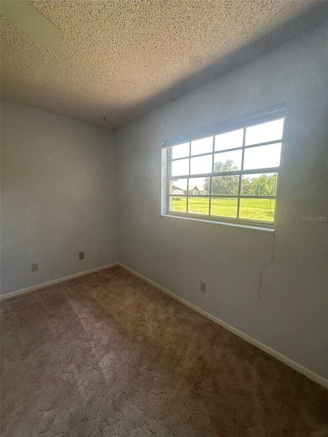 8 Jasmine St, Lake Placid, FL 33852 - photo 36