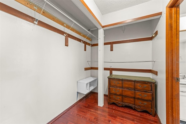 walk in closet with hardwood / wood-style flooring