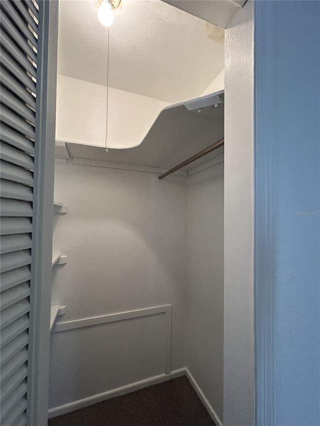 view of walk in closet