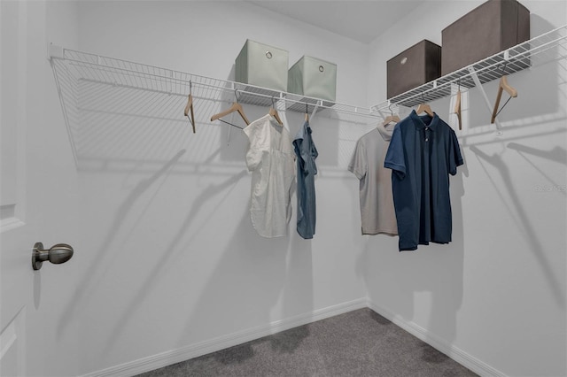 1409 Fan Palm Dr, Davenport, FL 33897 - spacious closet with carpet flooring
