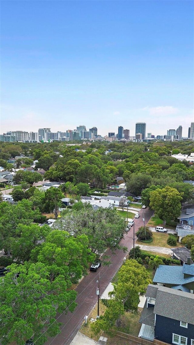 aerial view of a view of skyline