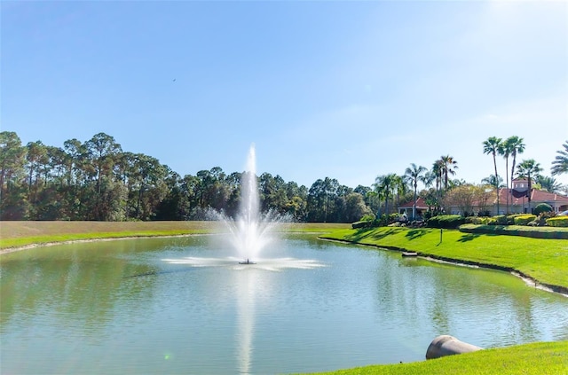 view of water feature