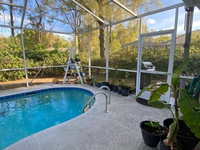 19430 SW 100th Loop, Dunnellon, FL 34432 - outdoor pool with glass enclosure and a patio