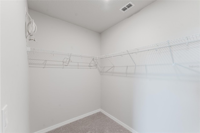 walk in closet featuring carpet flooring and visible vents