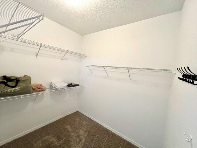 28 Buffalo Meadow Ln, Palm Coast, FL 32137 - photo 31
