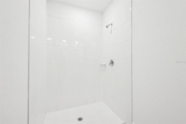 4717 Jasmine Cir, Leesburg, FL 34748 - bathroom featuring tiled shower