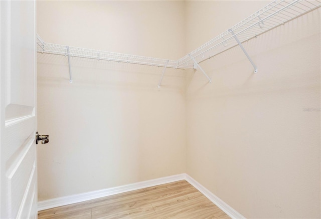 walk in closet with light wood-style floors