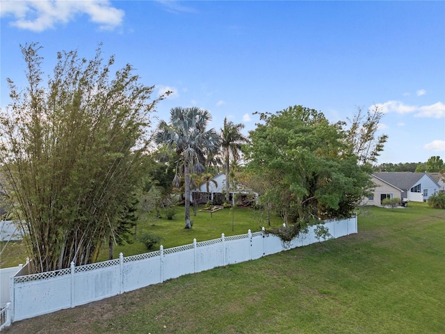 view of yard featuring a fenced backyard