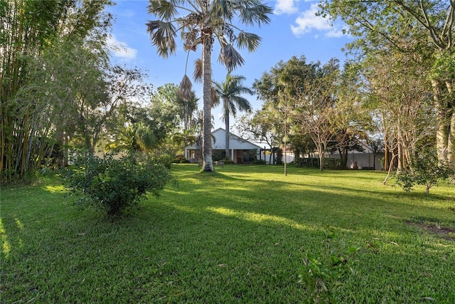 view of yard
