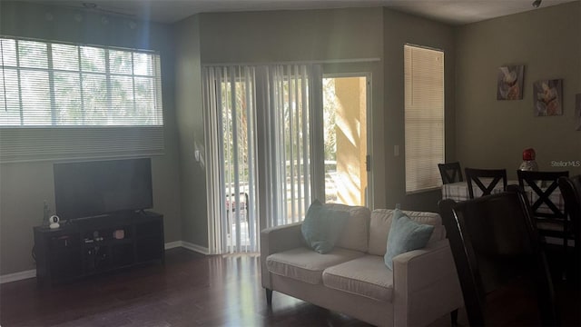 5125 Palm Springs Blvd Unit 13107, Tampa, FL 33647 - living room featuring wood finished floors and baseboards