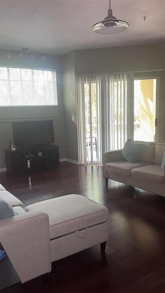 5125 Palm Springs Blvd Unit 13107, Tampa, FL 33647 - living room with baseboards, ceiling fan, and wood finished floors