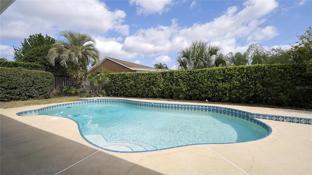 view of swimming pool with a patio area, a fenced backyard, and a fenced in pool